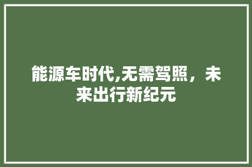 能源车时代,无需驾照，未来出行新纪元