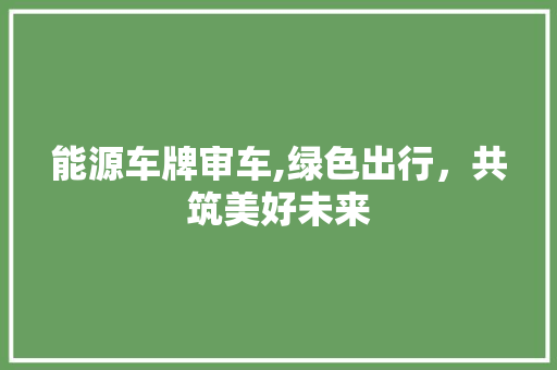能源车牌审车,绿色出行，共筑美好未来 新能源汽车
