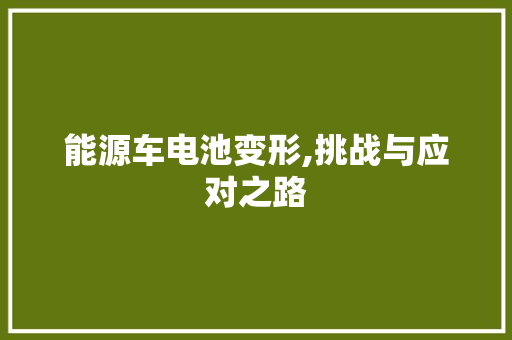 能源车电池变形,挑战与应对之路