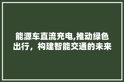 能源车直流充电,推动绿色出行，构建智能交通的未来