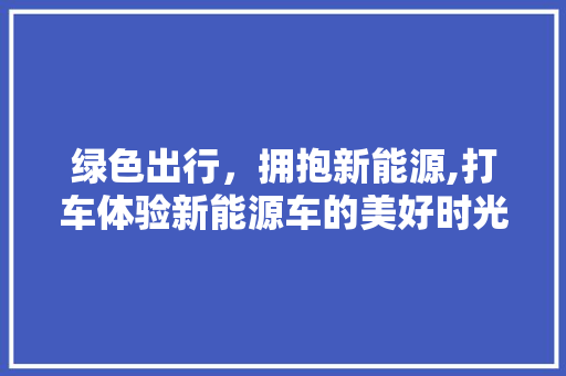 绿色出行，拥抱新能源,打车体验新能源车的美好时光