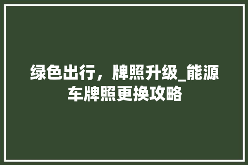 绿色出行，牌照升级_能源车牌照更换攻略