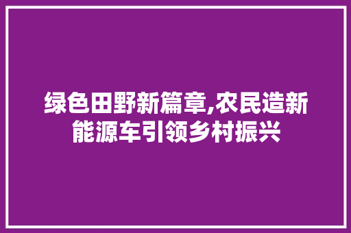绿色田野新篇章,农民造新能源车引领乡村振兴