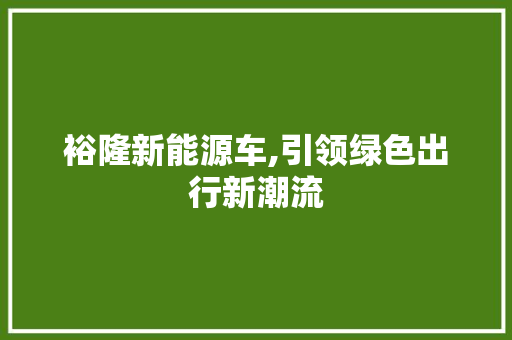 裕隆新能源车,引领绿色出行新潮流