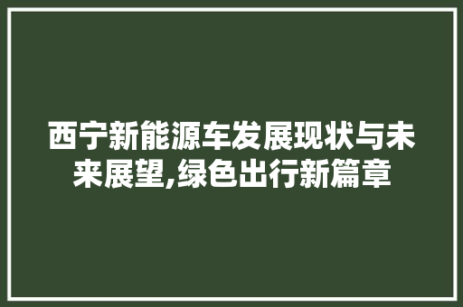 西宁新能源车发展现状与未来展望,绿色出行新篇章