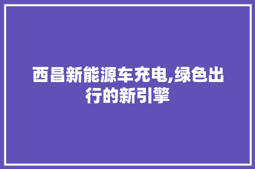 西昌新能源车充电,绿色出行的新引擎