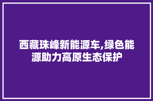 西藏珠峰新能源车,绿色能源助力高原生态保护