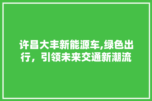 许昌大丰新能源车,绿色出行，引领未来交通新潮流