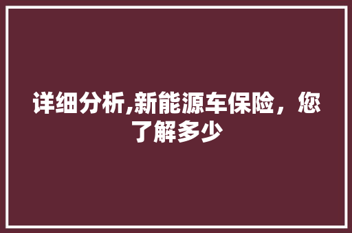 详细分析,新能源车保险，您了解多少