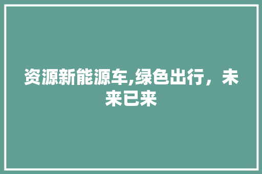 资源新能源车,绿色出行，未来已来