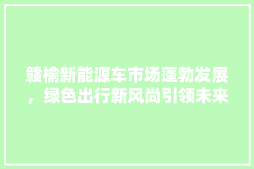 赣榆新能源车市场蓬勃发展，绿色出行新风尚引领未来