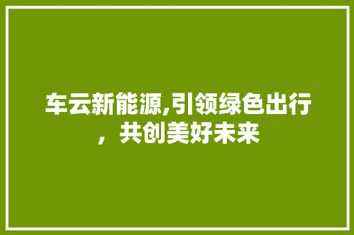 车云新能源,引领绿色出行，共创美好未来 自动驾驶