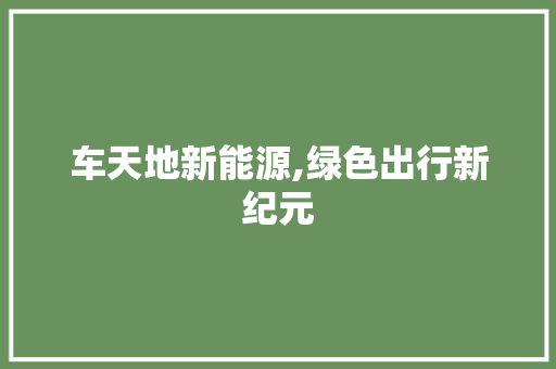 车天地新能源,绿色出行新纪元