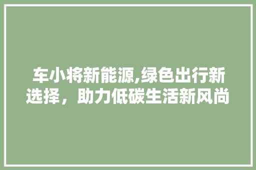 车小将新能源,绿色出行新选择，助力低碳生活新风尚 车载导航