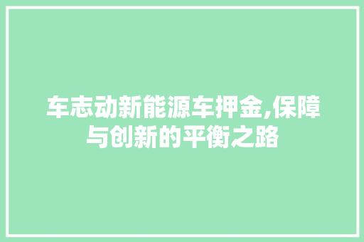 车志动新能源车押金,保障与创新的平衡之路