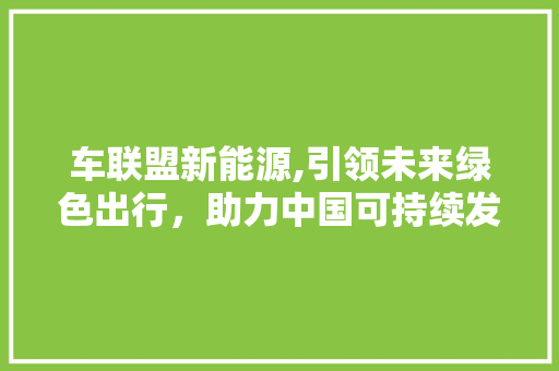 车联盟新能源,引领未来绿色出行，助力中国可持续发展