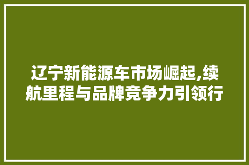 辽宁新能源车市场崛起,续航里程与品牌竞争力引领行业新风向