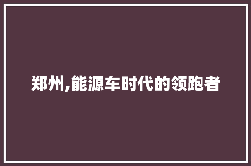 郑州,能源车时代的领跑者