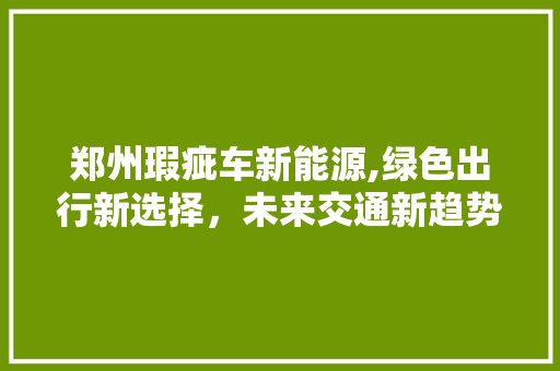 郑州瑕疵车新能源,绿色出行新选择，未来交通新趋势
