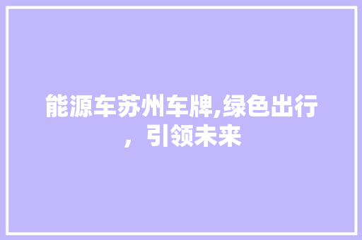 能源车苏州车牌,绿色出行，引领未来