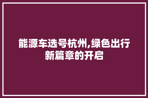 能源车选号杭州,绿色出行新篇章的开启
