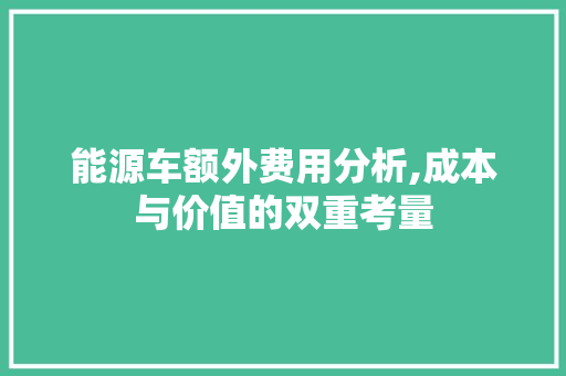 能源车额外费用分析,成本与价值的双重考量 智能驾驶