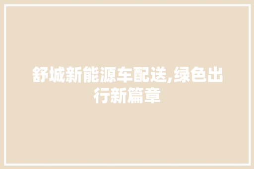 舒城新能源车配送,绿色出行新篇章
