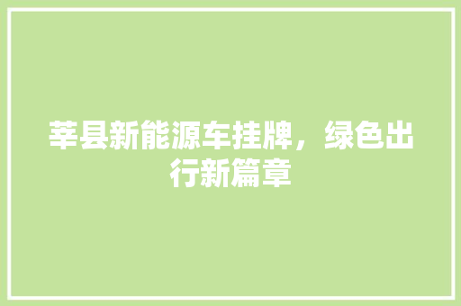 莘县新能源车挂牌，绿色出行新篇章