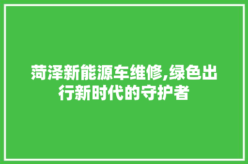 菏泽新能源车维修,绿色出行新时代的守护者