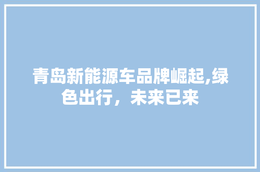 青岛新能源车品牌崛起,绿色出行，未来已来