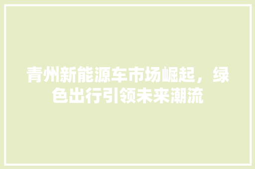 青州新能源车市场崛起，绿色出行引领未来潮流