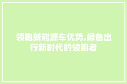 领跑新能源车优势,绿色出行新时代的领跑者