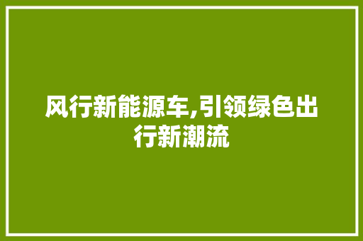 风行新能源车,引领绿色出行新潮流