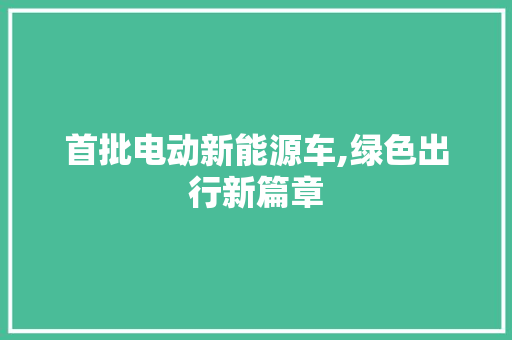首批电动新能源车,绿色出行新篇章