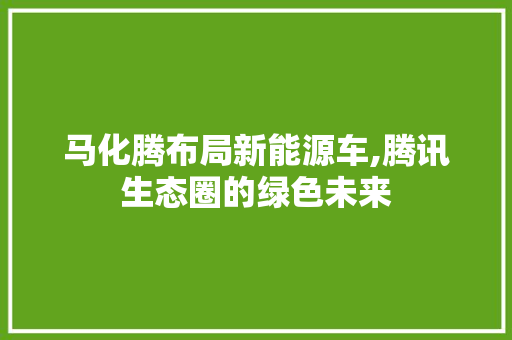 马化腾布局新能源车,腾讯生态圈的绿色未来
