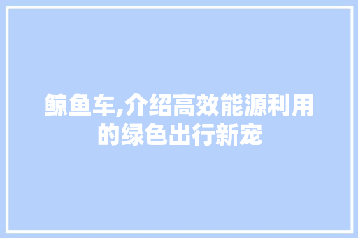 鲸鱼车,介绍高效能源利用的绿色出行新宠