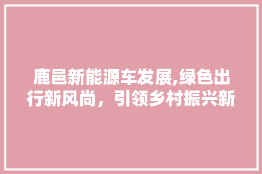 鹿邑新能源车发展,绿色出行新风尚，引领乡村振兴新动力