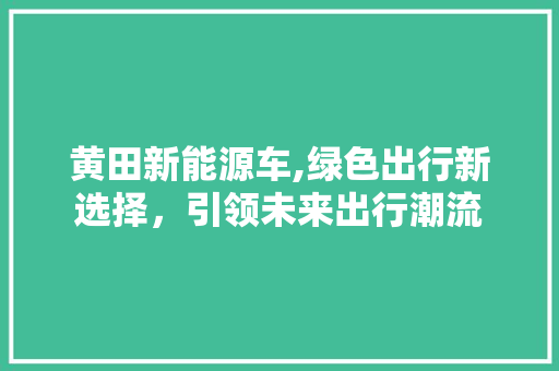 黄田新能源车,绿色出行新选择，引领未来出行潮流