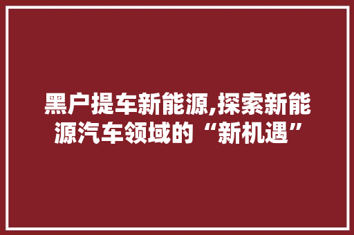 黑户提车新能源,探索新能源汽车领域的“新机遇”