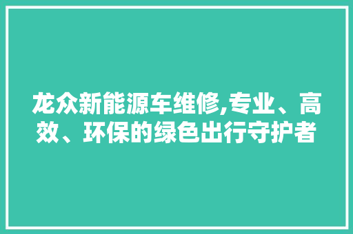 龙众新能源车维修,专业、高效、环保的绿色出行守护者 车型评测