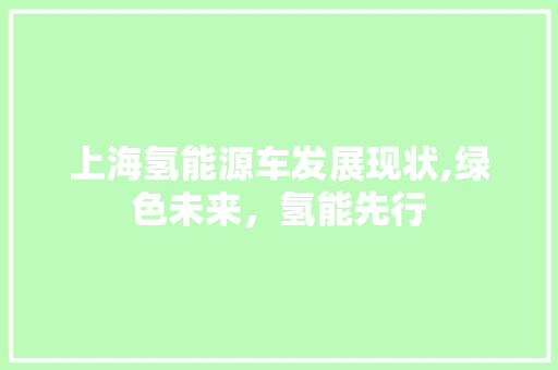 上海氢能源车发展现状,绿色未来，氢能先行