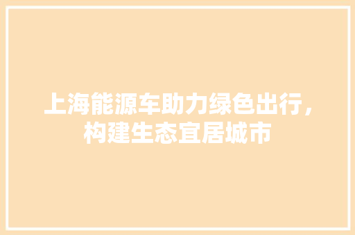 上海能源车助力绿色出行，构建生态宜居城市