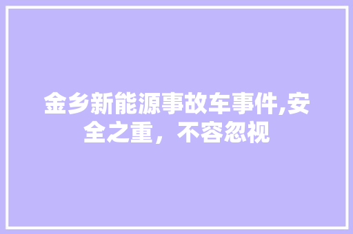 金乡新能源事故车事件,安全之重，不容忽视