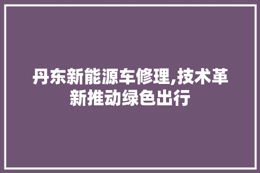 丹东新能源车修理,技术革新推动绿色出行