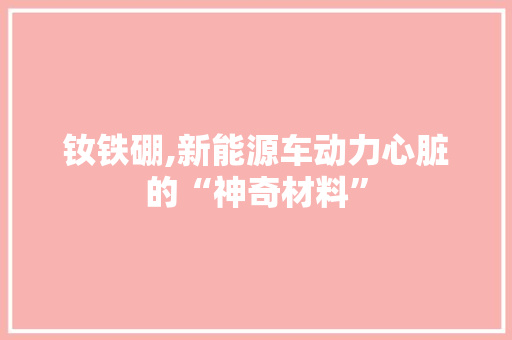 钕铁硼,新能源车动力心脏的“神奇材料”
