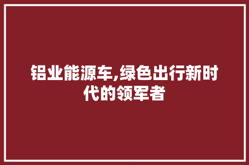 铝业能源车,绿色出行新时代的领军者
