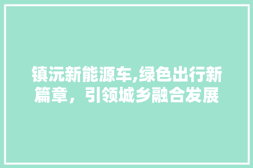 镇沅新能源车,绿色出行新篇章，引领城乡融合发展