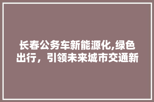 长春公务车新能源化,绿色出行，引领未来城市交通新风尚