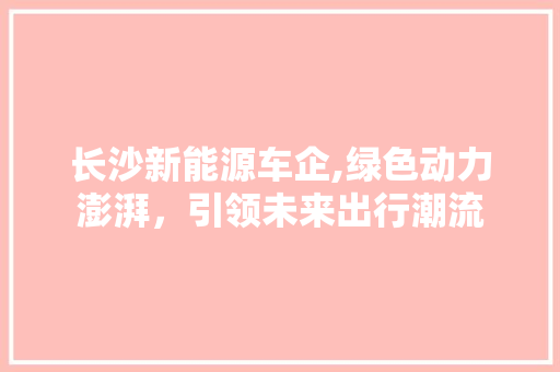 长沙新能源车企,绿色动力澎湃，引领未来出行潮流