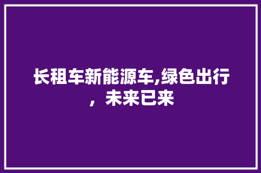长租车新能源车,绿色出行，未来已来